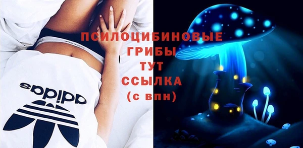 a pvp Алексин