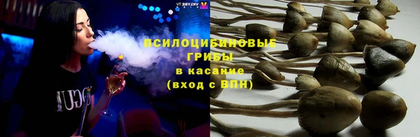 дживик Алексеевка